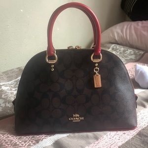 The coach bag
